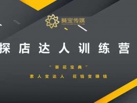 探店达人速成班：0基础素人变探店达人，轻松赚钱攻略-54创业网