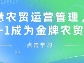 智慧农贸运营管理：0基础速成金牌农贸人实战指南-54创业网