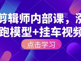 IP剪辑师内部课：涨粉跑模型+挂车视频实战教学，快速提升播放量-54创业网