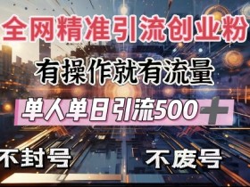 创业粉引流秘籍：单人单日500+流量，不封号不费号实操教程-54创业网