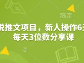 新手必看：小说推文项目6天赚3位数，日入300+实操教程-54创业网