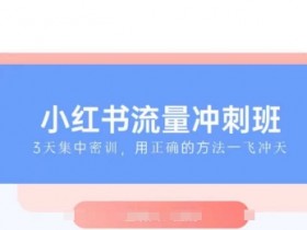 2025小红书流量冲刺班：最懂小红书的女人教你快速入局赚钱-54创业网