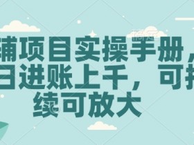 教辅项目实操手册：单日赚上千元，可持续放大收益的秘诀-54创业网