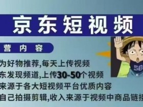 京东短视频带货课：零基础2天速成，免拍摄剪辑保姆教学-54创业网