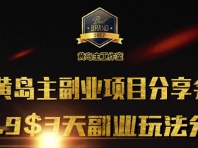 黄岛主副业分享会：3天学会3个赚钱副业，手把手带你快速变现-54创业网