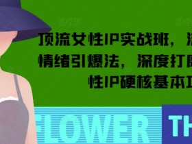 顶流女性IP实战班：上亿流量情绪引爆法，打造硬核基本功-54创业网