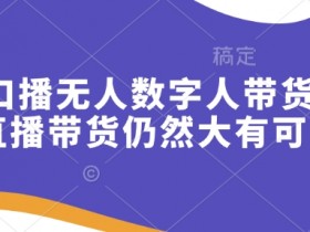 快手无人数字人口播带货技巧：直播带货新风口仍赚钱！-54创业网