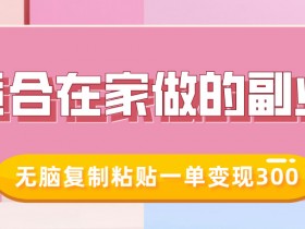 在家副业小红书冷知识账号：无脑复制粘贴轻松赚300一单-54创业网
