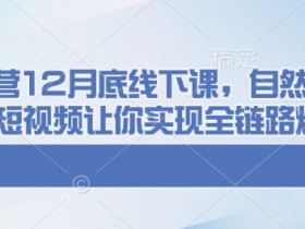 12月千川运营线下课：自然流+付费+短视频全链路爆单实战-54创业网