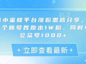 网易小蜜蜂涨粉秘籍：3账号1晚各涨1W粉，公众号引流1000+实战分享-54创业网