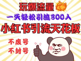小红书引流秘籍：1天300+精准流量，安全高效引爆客源-54创业网