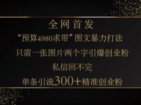单条笔记引流300+创业粉：小红书神奇图片引流法，一张图搞定-54创业网