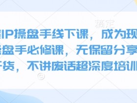 现象级IP操盘手必修课：全案线下实战课，无保留干货教学-54创业网
