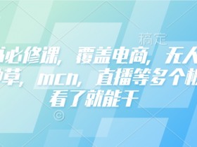 小红书电商运营必修课：获客、直播、MCN、种草全攻略，学了就能赚钱-54创业网
