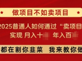 2025普通人卖项目赚钱秘籍：月入10万年入百万实战指南-54创业网