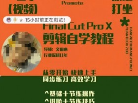 零基础剪辑系统课：快速上手剪辑技巧，高效学习从简到难-54创业网