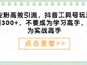 抖音创业粉高效引流：实战工具号日引300+，告别学习做实战高手-54创业网