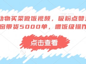 AI动物买菜做饭视频教程：5000单带货秘籍，喂饭级操作轻松吸粉爆赞-54创业网