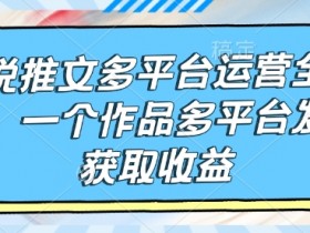 小说推文运营技巧：多平台发布流程，1个作品赚取多重收益-54创业网