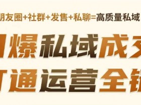 高成交私聊转化秘籍：3步引爆私域运营全链成交-54创业网
