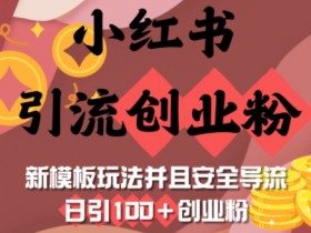 小红书创业粉引流：新模板玩法日引100+，安全导流不封号-54创业网