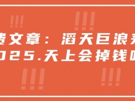 2025天上会掉钱吗？滔天巨浪来袭！付费文章揭秘财富机遇-54创业网