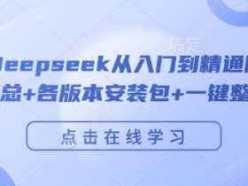 Deepseek教程：从入门到精通完整指南｜附指令大全+安装包+整合包-54创业网