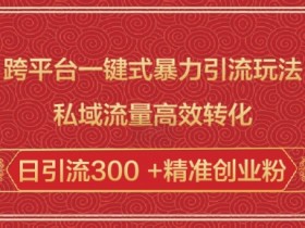 跨平台暴力引流：私域高效转化日加300+精准创业粉-54创业网