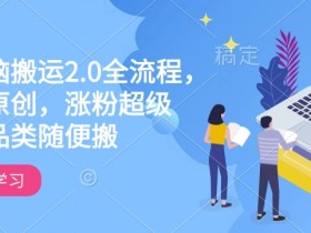 快手电脑搬运2.0教程：全流程过原创+涨粉秘籍，全品类搬运轻松爆粉-54创业网