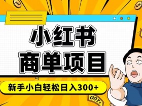 千粉商单变现：小红书快速稳定月入6-8k的实操攻略-54创业网