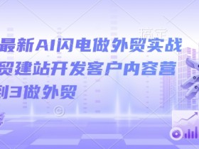 2025最新AI外贸实战课：闪电建站开发客户，0基础3步搞定外贸营销-54创业网