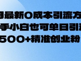 2月0成本引流秘籍：新手小白单日精准涨粉500+创业粉-54创业网