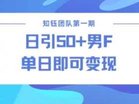 男粉引流变现新方法：当天见效不违规，轻松赚大钱-54创业网