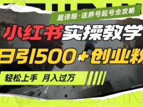 2月小红书创业粉日引500+实操：超详细小白教学，轻松月入1W+，附养号起号SOP-54创业网