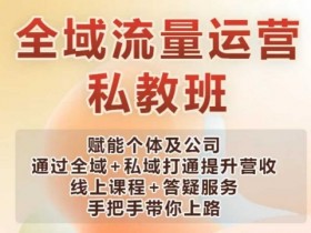 全域流量运营课：私域+全域打通，快速提升个体与公司营收-54创业网