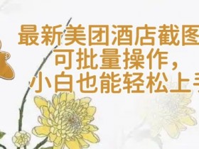 美团酒店截图神器【轻云】：批量操作零门槛，新手秒变高手！-54创业网