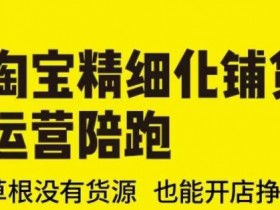 淘宝精细化铺货运营陪跑2025：零货源草根开店赚钱实战攻略-54创业网