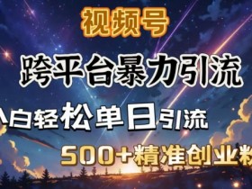 暴力引流创业粉：跨平台日引500+精准流量，私域闭环变现-54创业网