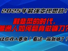 2025年普通人如何翻身赚钱？揭秘最强变现思路，告别韭菜做镰刀-54创业网