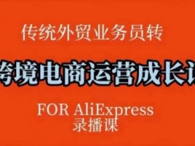 速卖通跨境电商运营课：方法论+后台实操，快速掌握运营技巧-54创业网