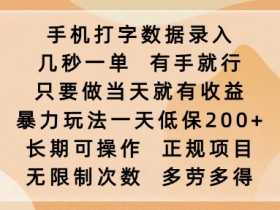 手机打字赚钱：日赚200+简单数据录入，有手就能做，秒接单秒结算！-54创业网