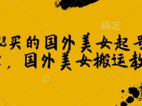 国外美女起号技术：1288元国外美女搬运教学，轻松涨粉变现-54创业网