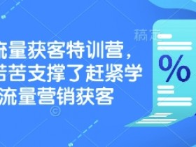 实体流量获客特训营：3天学会营销获客技巧，告别无效推广-54创业网