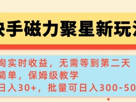 快手磁力新玩法：单机30+收益，批量日入3到5张，实时查询教程揭秘-54创业网