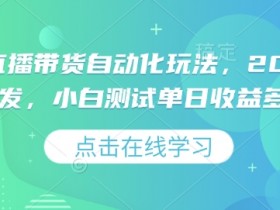 2025视频号直播带货自动化玩法揭秘：小白单日多张收益测试-54创业网