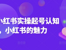 2025小红书实操起号认知课：揭秘小红书爆款账号的运营魅力-54创业网