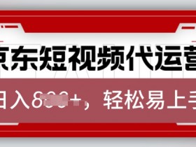 京东带货代运营2025年赚钱新风口：0基础月入8k+，上传视频就能躺赚！-54创业网