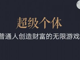 2024超级个体翻盘指南：普通人如何玩转财富无限游戏-54创业网