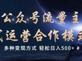 公众号流量主代运营：5种变现方式轻松日入500+【实战干货】-54创业网