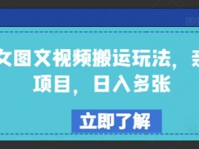 美女图文视频搬运赚钱：实测日入千元，轻松上手副业项目-54创业网